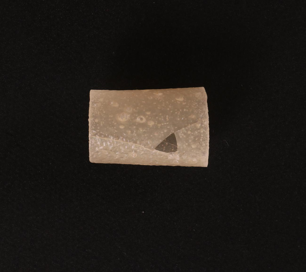 NV_A0016